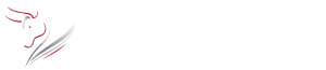 Taurus Technical Group, LLC